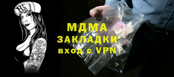 гашик Алексин