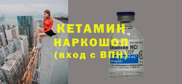 гашик Алексин