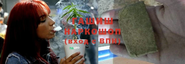 гашик Алексин