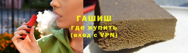 гашик Алексин