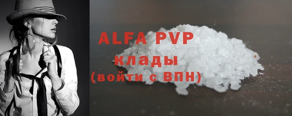 гашик Алексин