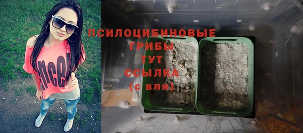 гашик Алексин