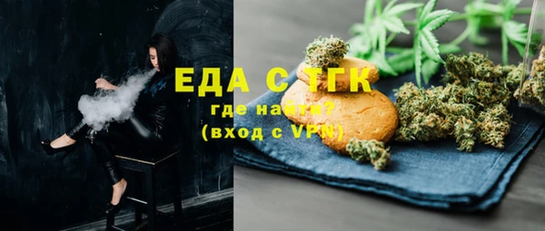 гашик Алексин