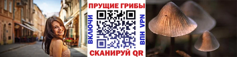 MEGA ССЫЛКА  магазин продажи наркотиков  Томск  Псилоцибиновые грибы ЛСД 