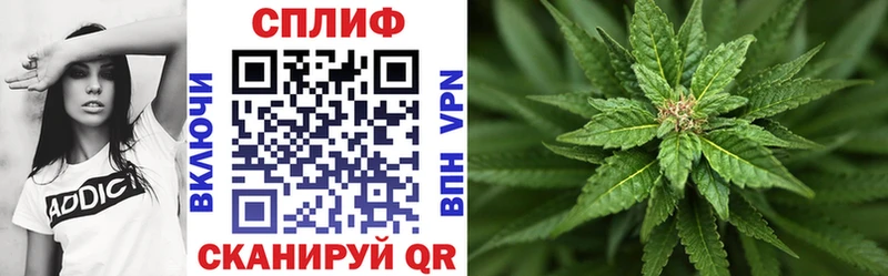 Бошки Шишки White Widow  Томск 